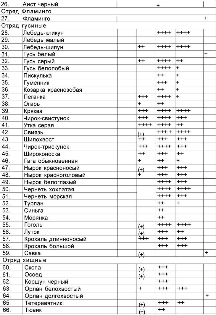 Систематический список птиц нашей области (часть 2)