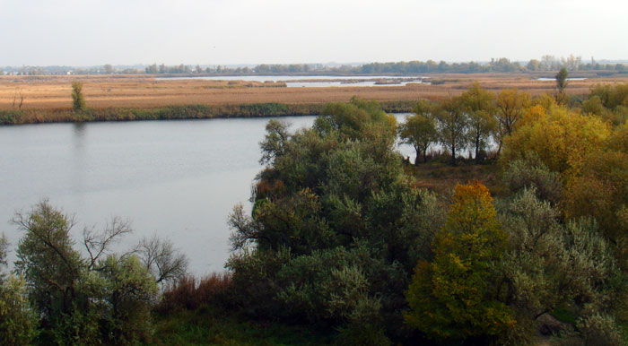Днепровское. Река Кошевая и Ольховый Днепр. Источник http://www.panoramio.com