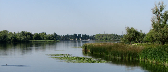 Вид с реки на город Голая Пристань