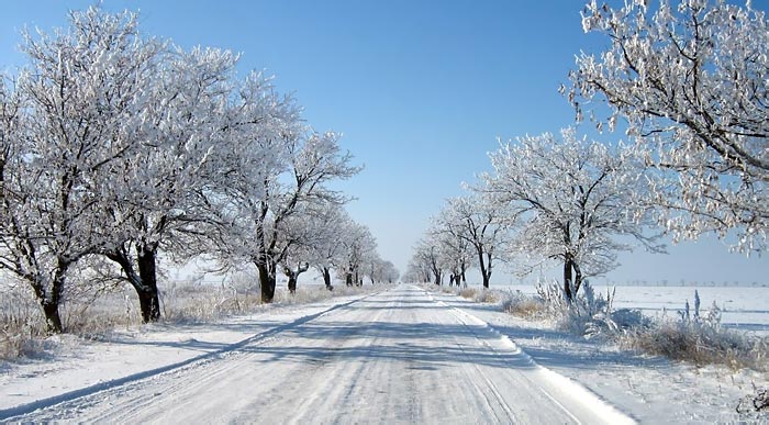 Зимняя степь возле Новосеменовки, Автор фото - Александр Кесарийский.