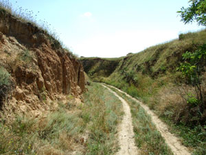 с. Широкая Балка (источник www.panoramio.com)