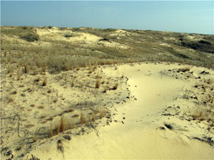 Алешковские пески (источник http://slavs.org.ua)