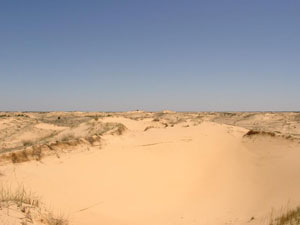 Алешковские пески (источник http://www.gorizont.od.ua)