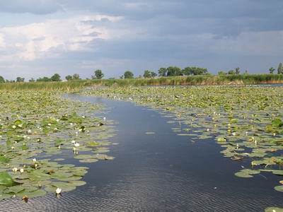 Боброве озеро (источник www.oda.kherson.ua)