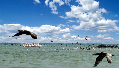Черноморский заповедник (источник www.panoramio.com)