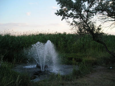 Хорлы. Артезианские воды (источник www.panoramio.com)