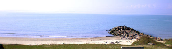 На берегу Джарылгачского залива Черного моря (источник www.neen.ru)