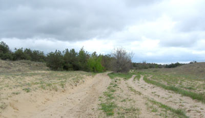 Пески (источник www.panoramio.com)
