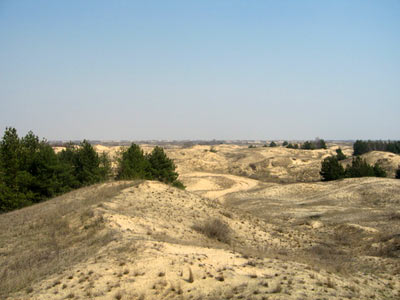 Алешковские пески (источник www.panoramio.com)