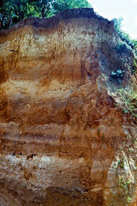 Ископаемые плейстоценовые почвы (источник www.photoukraine.com)