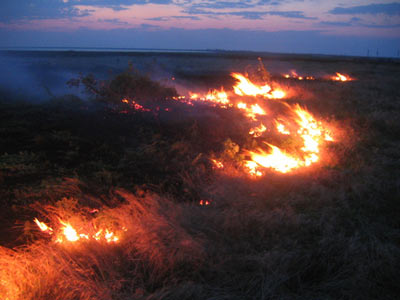Степной пожар (источник www.panoramio.com)