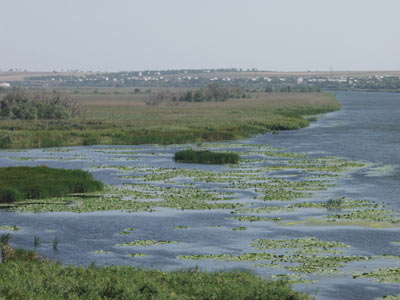 Река Ингулец (источник www.panoramio.com)