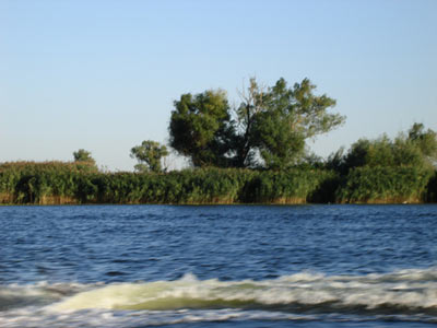 Река Кошевая (источник www.panoramio.com)