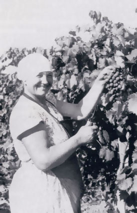 Такие виноградные гроздья и улыбки на лицах «янтарненцев» остались в далеком прошлом. Октябрь 1987 г.